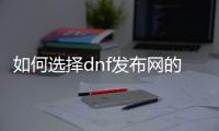 如何选择dnf发布网的百分比职业