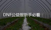 DNF公益服新手必看：职业、装备与高效升级技巧