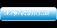 DNF发布网双开可以吗？