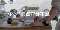 dnf公益服僵尸地下城副本有什么技巧？