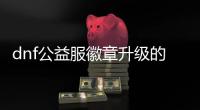 dnf公益服徽章升级的详细指南