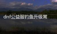dnf公益服钓鱼升级常见问题解答